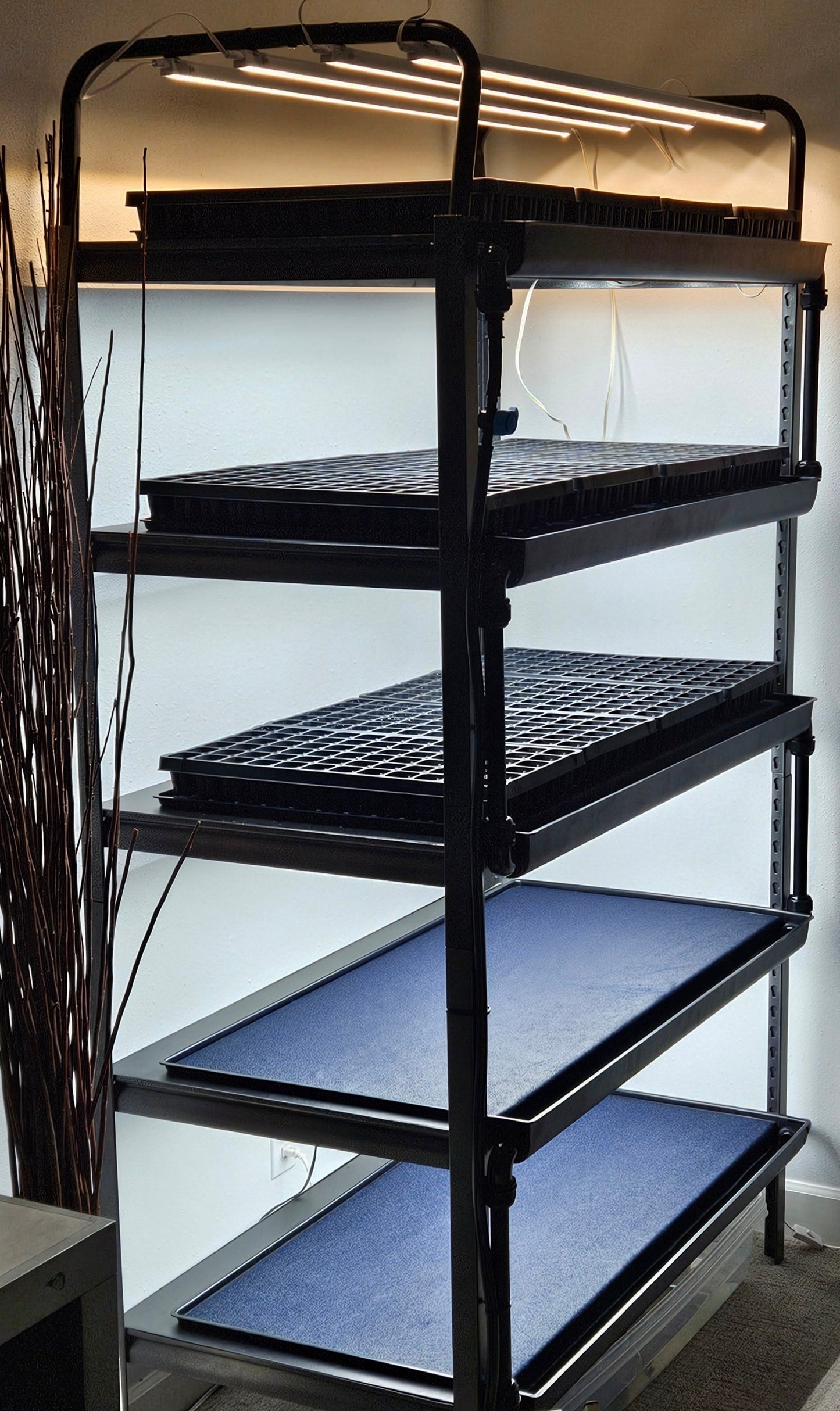Seedwell Expansion Tray