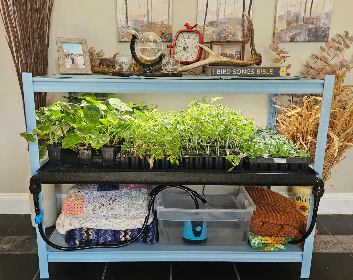 Seedwell Tray System Start Up