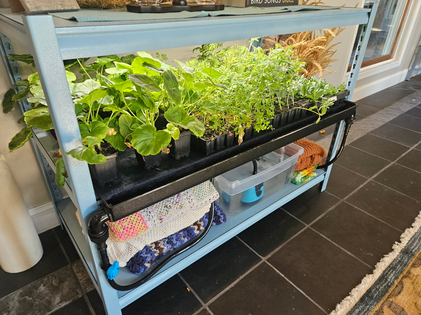 Seedwell Tray System Start Up