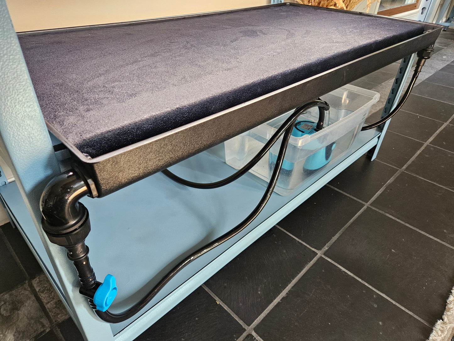 Seedwell Tray System Start Up