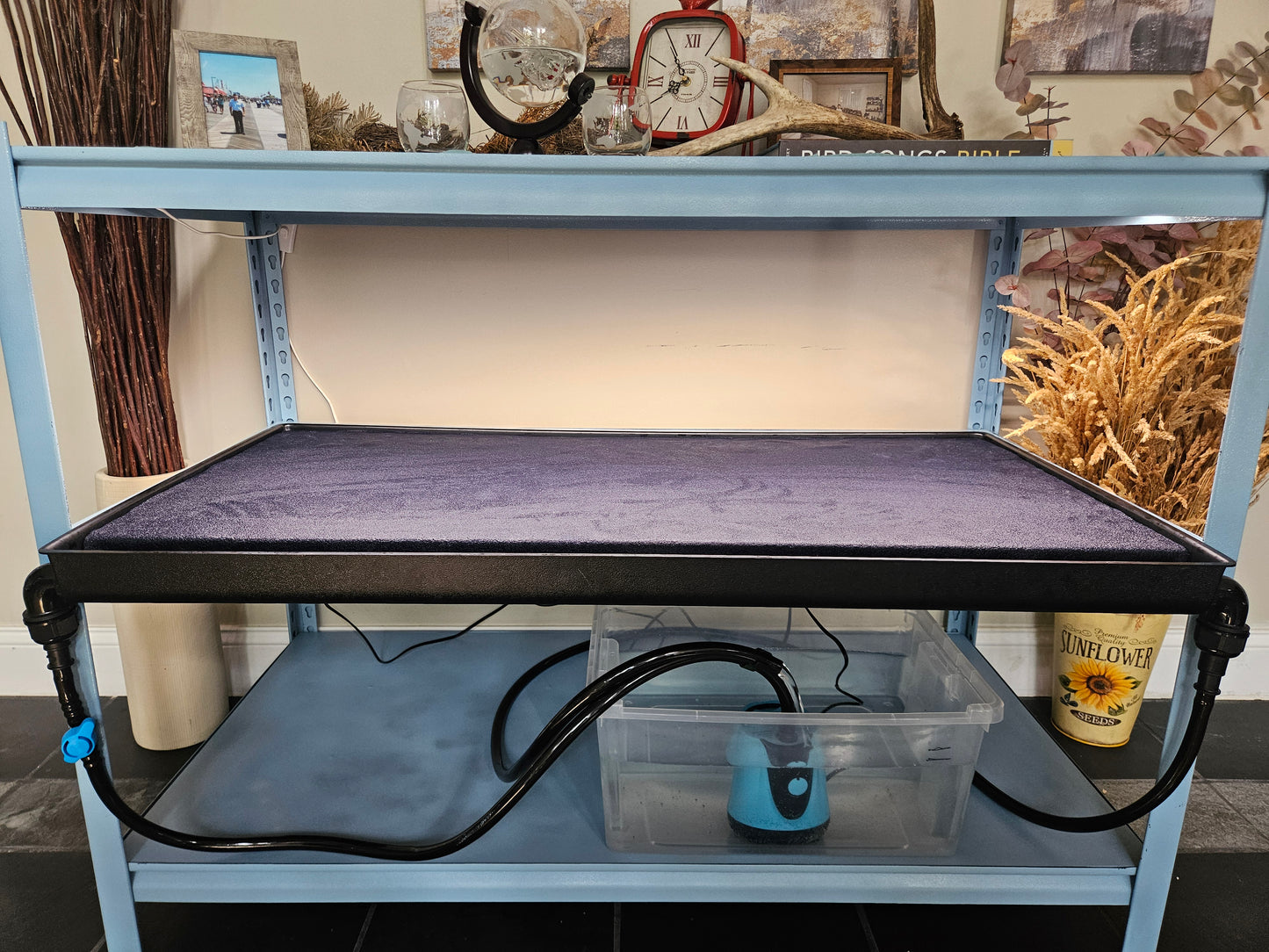 Seedwell Tray System Start Up