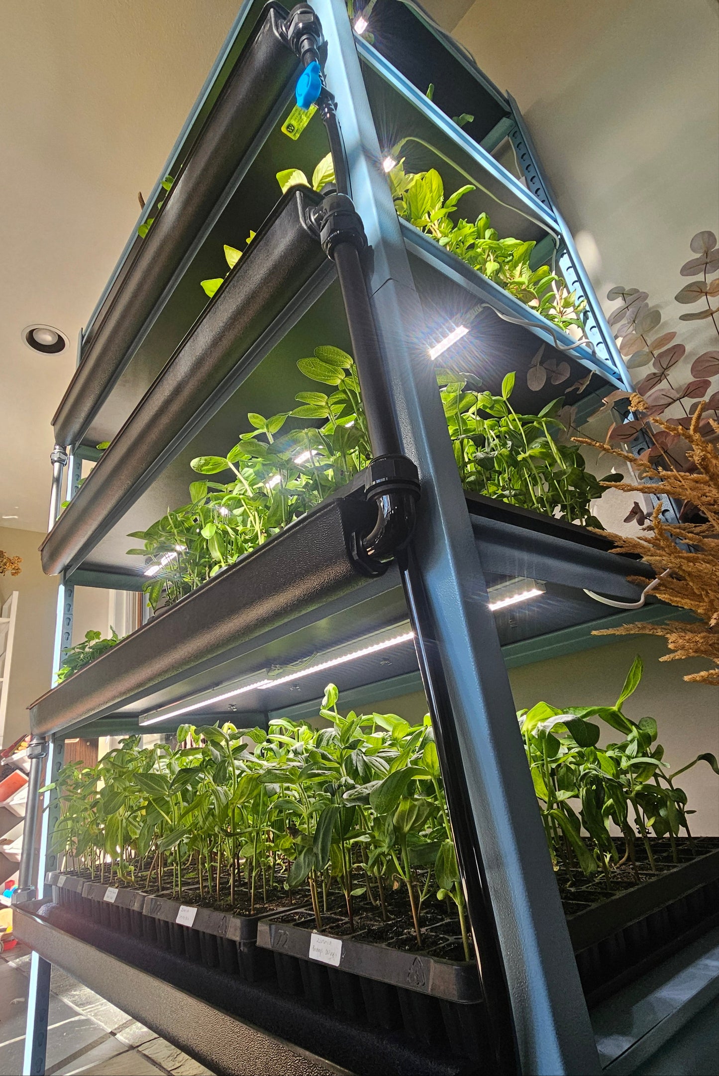 Seedwell Expansion Tray