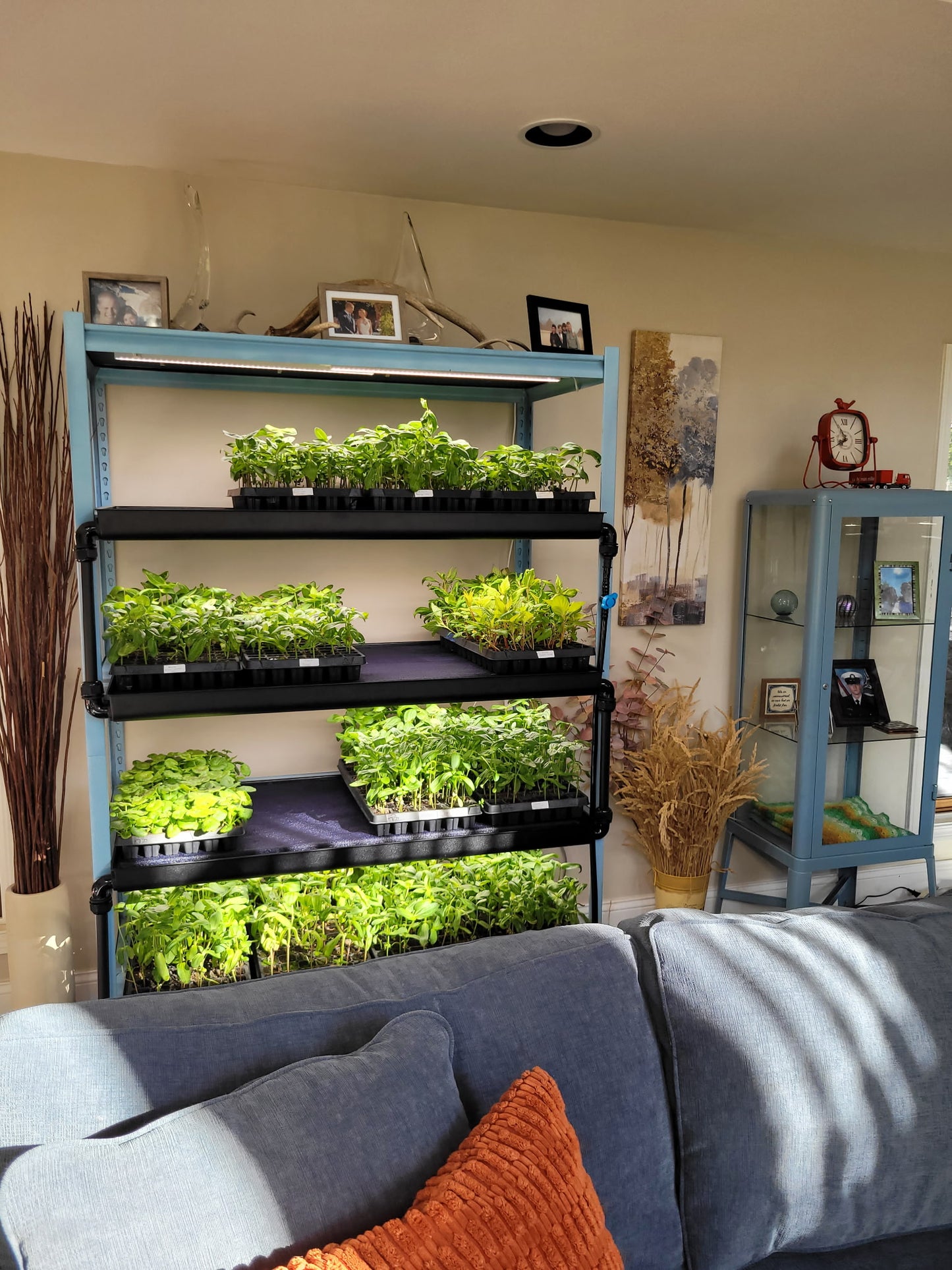 Seedwell Expansion Tray