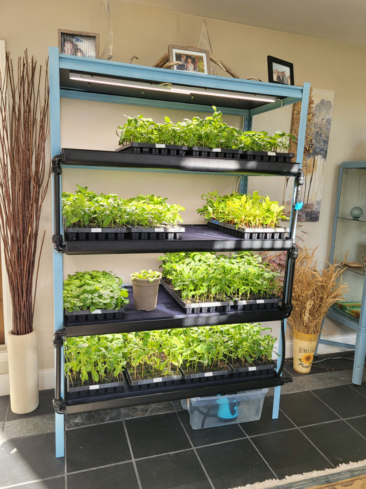 Seedwell Expansion Tray
